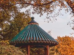 -东湖听涛景区