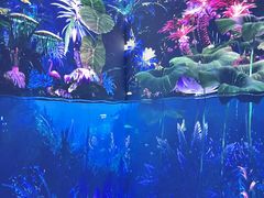 -中国湿地博物馆