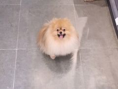 -萌兽医馆·眼科·异宠专科(三里屯店)