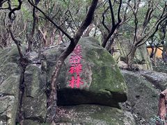 -普陀山慧济禅寺