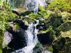 -藏龙百瀑风景区