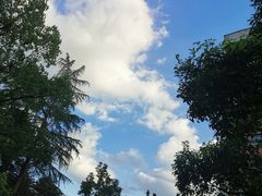 -浙江大学(玉泉校区)