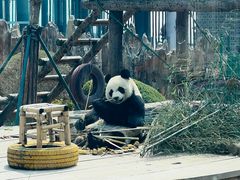 -大连森林动物园