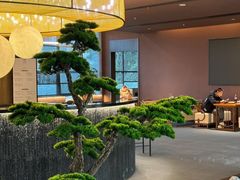 -椿杨樘·明康泡浴养生馆(重庆店)