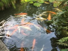 -珠海圆明新园
