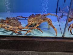 -阿伟海鲜楼·福建菜(延寿店)
