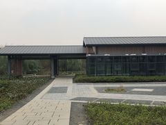 -白鹭湾湿地公园