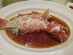 -利苑酒家(北角店)