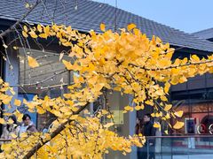 -成都太古里天府广场地铁站亚朵酒店