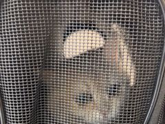 -瑞鹏宠物医院·骨科·猫科·内科(第一中心)