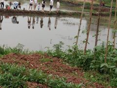 -怡和家宴(天立·观澜国际店)