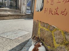 -猫岛主趣味餐厅(鼓浪屿店)