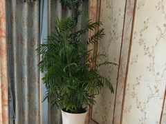 -沪华海鲜大酒楼(南汇店)