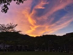 -厦门国家会计学院
