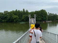 -东湖落雁景区