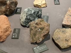 -浙江自然博物院(杭州馆)