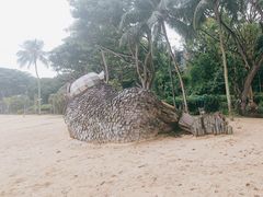-巴拉湾海滩