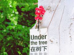 景观位-ADO KAFE(大学城店)