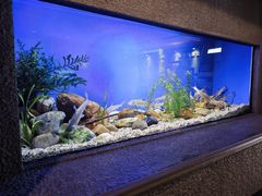 -上海海洋水族馆