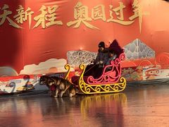 -沈阳奥体冰雪嘉年华