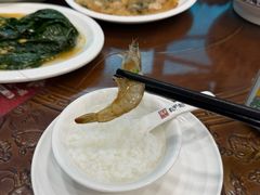 -长平肥姐白粥·海鲜打冷