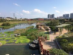 -那考河湿地公园