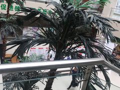 -大连开发区市民健身中心