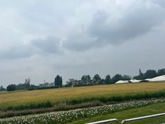 -中国天府农业博览园