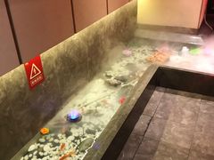 -阿五黄河大鲤鱼(英协路店)