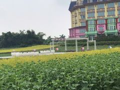 -百万葵园