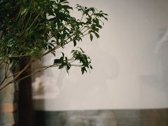 -VOYAGE COFFEE(杨梅竹店)