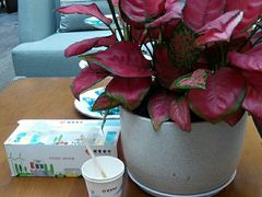 -招商银行(深圳罗湖支行)