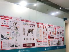 -菲尔斯特宠物医院