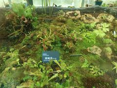 -国家植物园南园