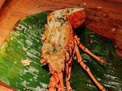 -拉蒂娜·巴西牛排馆 Latina·Brazilian Steakhouse(王府井喜悦店)