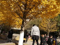 -辽宁大学(崇山校区)