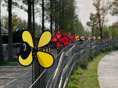 -前小桔亲子创意农场·草莓采摘·露营烧烤