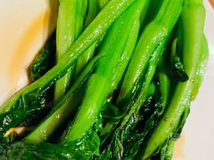 白灼广东菜心-粤食堂(天津和悦汇店)
