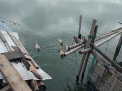 -君豪蟹都·湖景·农家乐(蟹舫苑店)