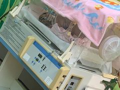 -常州淹城野生动物世界