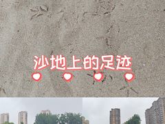 -青枫公园