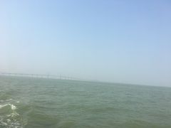 -澳门环岛游湾仔码头