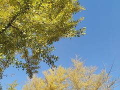 -辽宁大学(崇山校区)