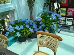 -BLUE HOUSE咖啡