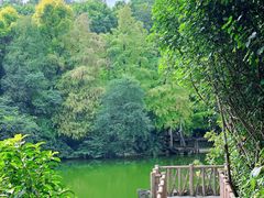 -深圳国际园林花卉博览园