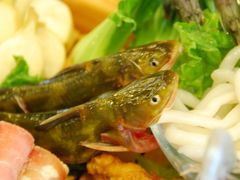 -新纪元大酒店