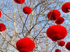 -朝阳公园游乐园