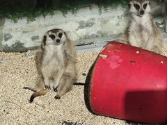 -常州海昌海洋探索馆