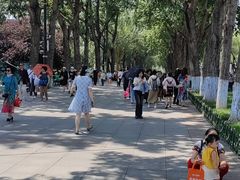 -人民防洪胜利纪念塔