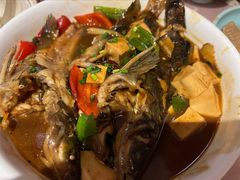 昂刺鱼烧豆腐-吉事利茶餐厅